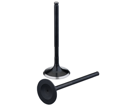 Product Engine Valve tout