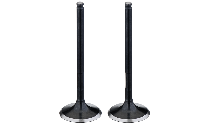 Product Landing Engine Valves