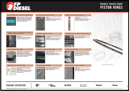 TTC Piston Rings