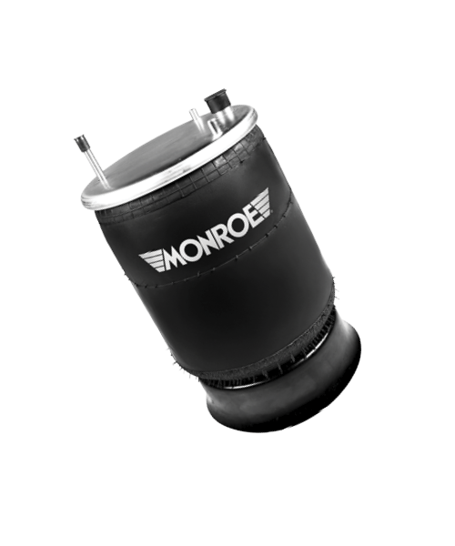 Monroe OESpectrum Shock & Mount Assembly