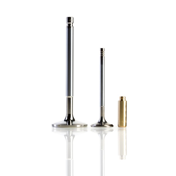 AE Valves & Valve Guides AE Valves & Valve Guides