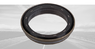 Unitized-Pinion-Seal Unitized-Pinion-Seal