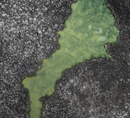 Coolant Leak_FPimage Coolant Leak_FPimage