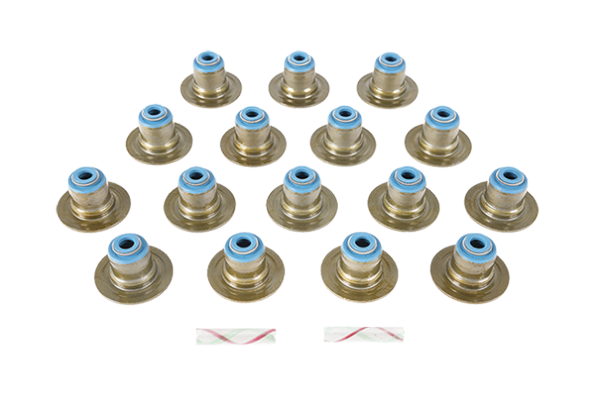 Engine_Repair_Valve_Stem_Seals_Tout Engine_Repair_Valve_Stem_Seals_Tout