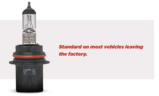 halogen-bulb-information-graphic halogen-bulb-information-graphic