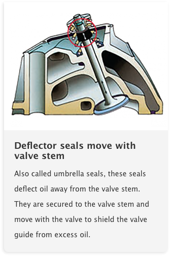 Fel-Pro_InsideFel-ProValveStemSeals_120619_Card-01 Fel-Pro_InsideFel-ProValveStemSeals_120619_Card-01